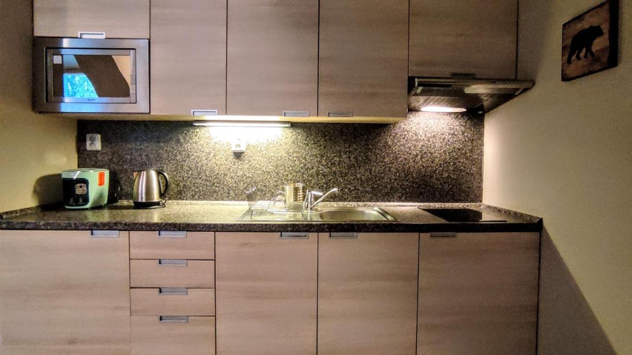 Ferienwohnung Horsky Apartman 1+Kk V Relaxacnim Prostredi Anenskeho Udoli Harrachov Exterior foto